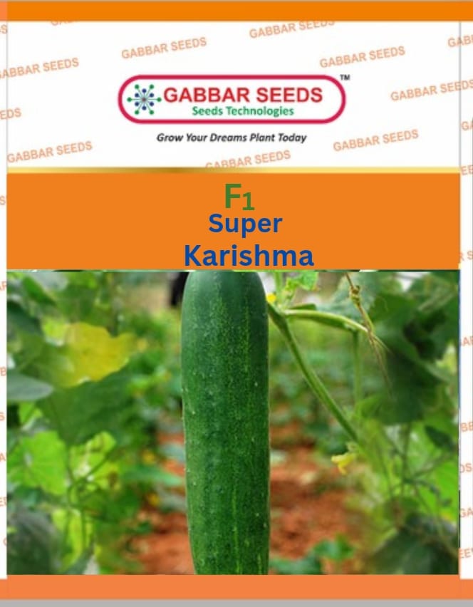 F1-Super-Karishma